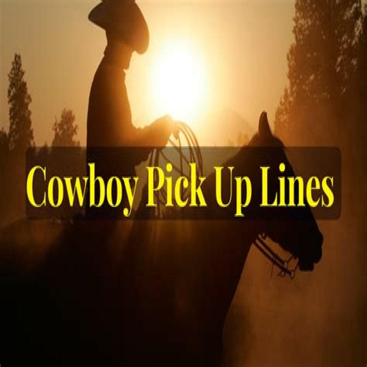 A Comprehensive Guide To Cowboy Pick Up Lines
