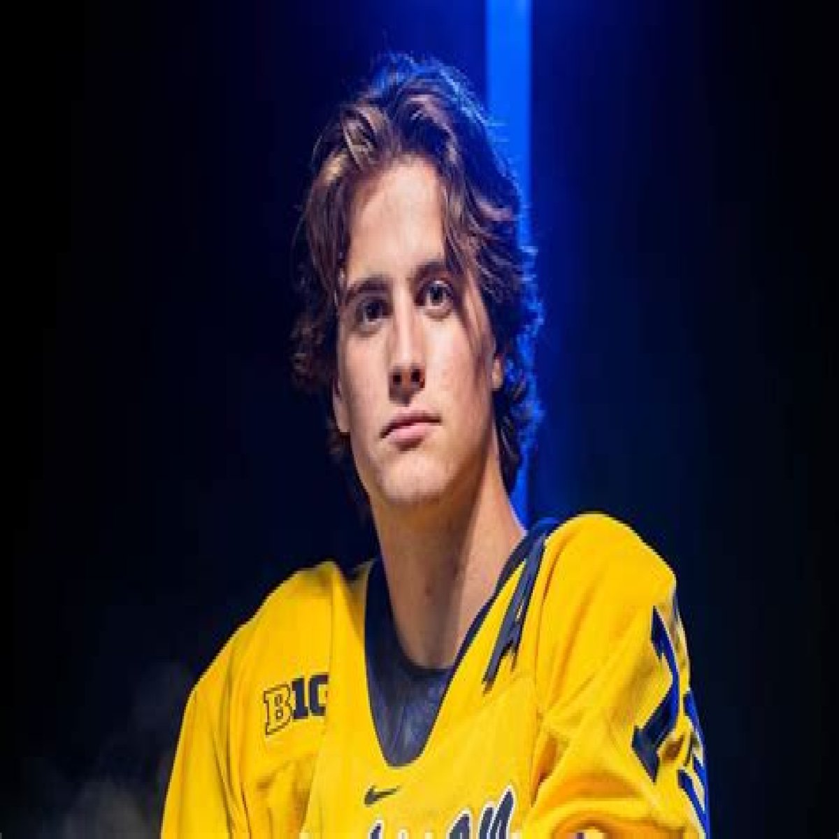 Age, Wikipedia, And The Journey Of A Hockey Star
