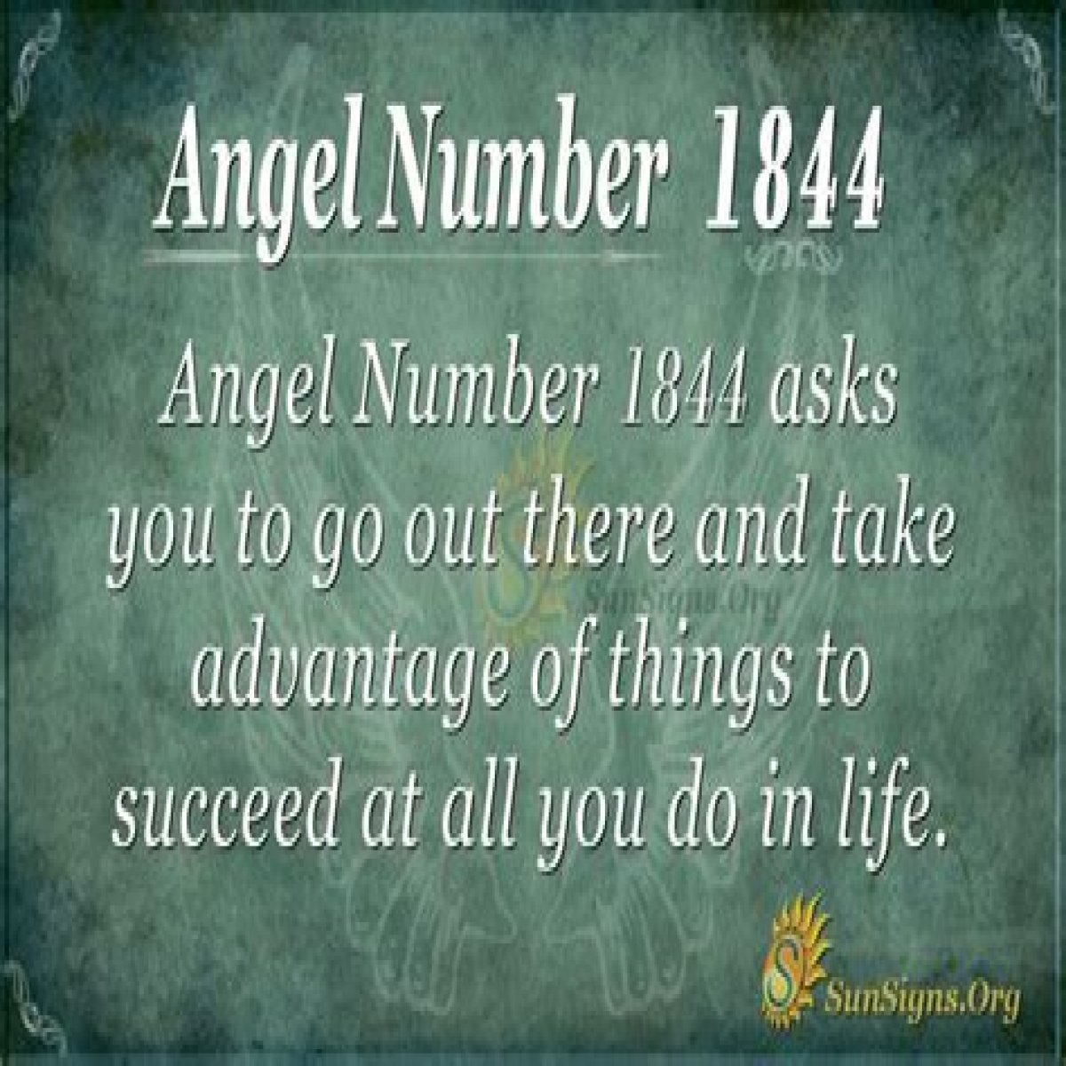 
ANGEL NUMBER 1844
