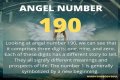 
ANGEL NUMBER 190
