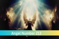 
ANGEL NUMBER 213
