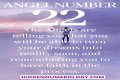 
ANGEL NUMBER 22
