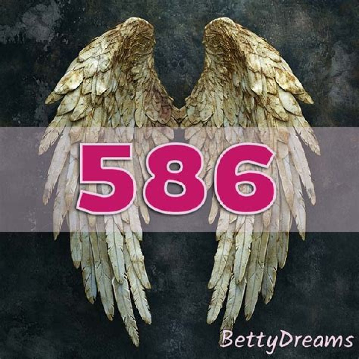 
ANGEL NUMBER 586
