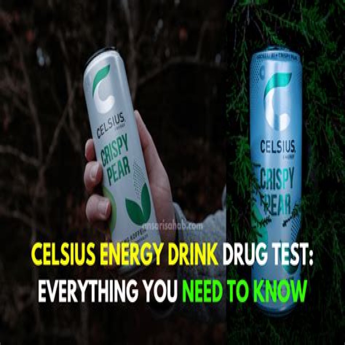 Celsius Energy Drink Drug Tests Unveiled
