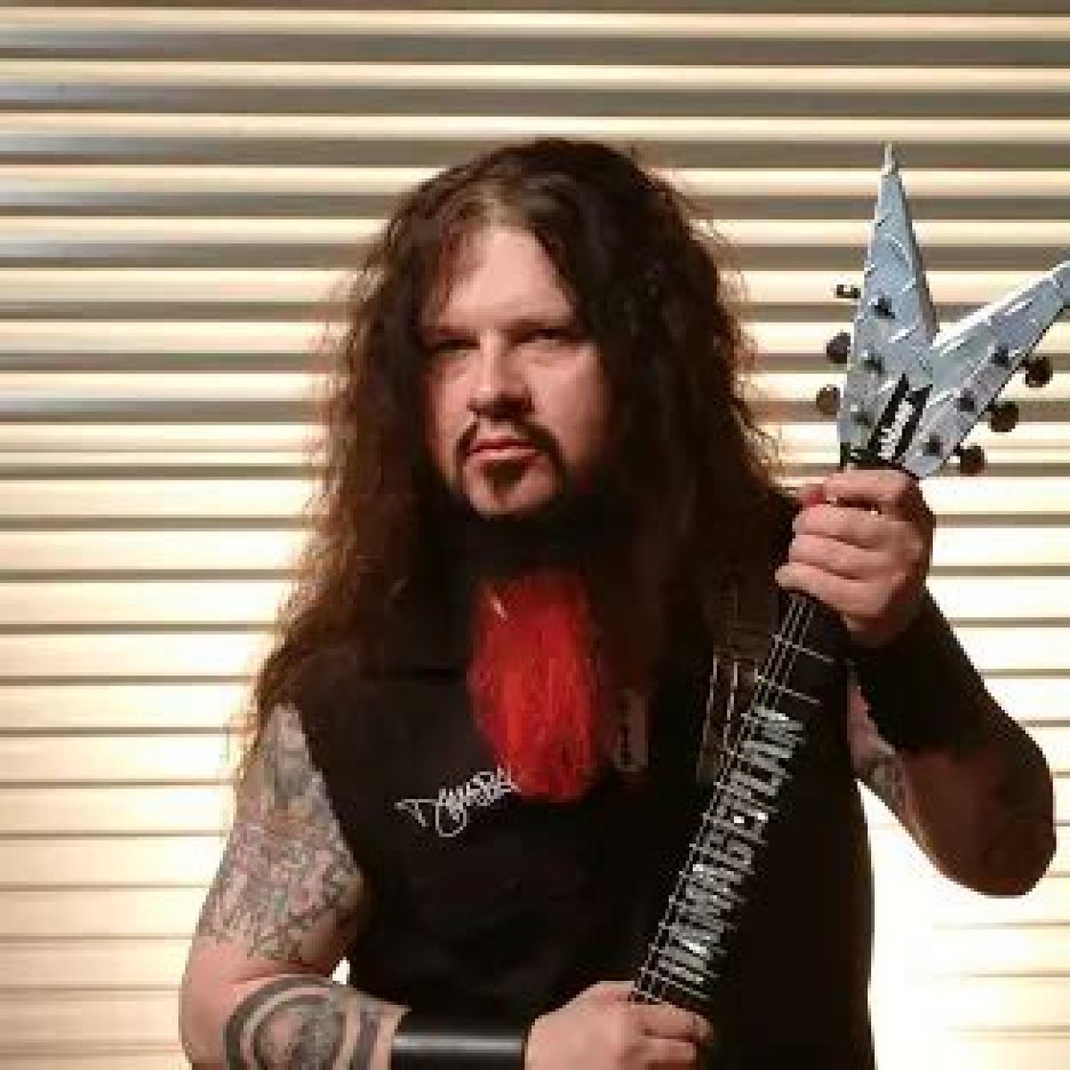Dimebag Darrell Net Worth, Income, Salary, Earnings, Biography