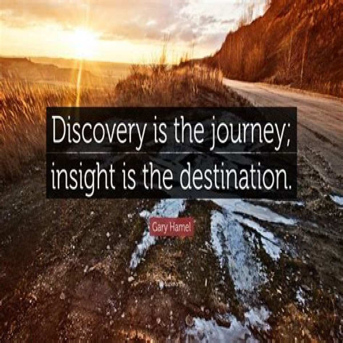 Discover Profound Quotes And Insights