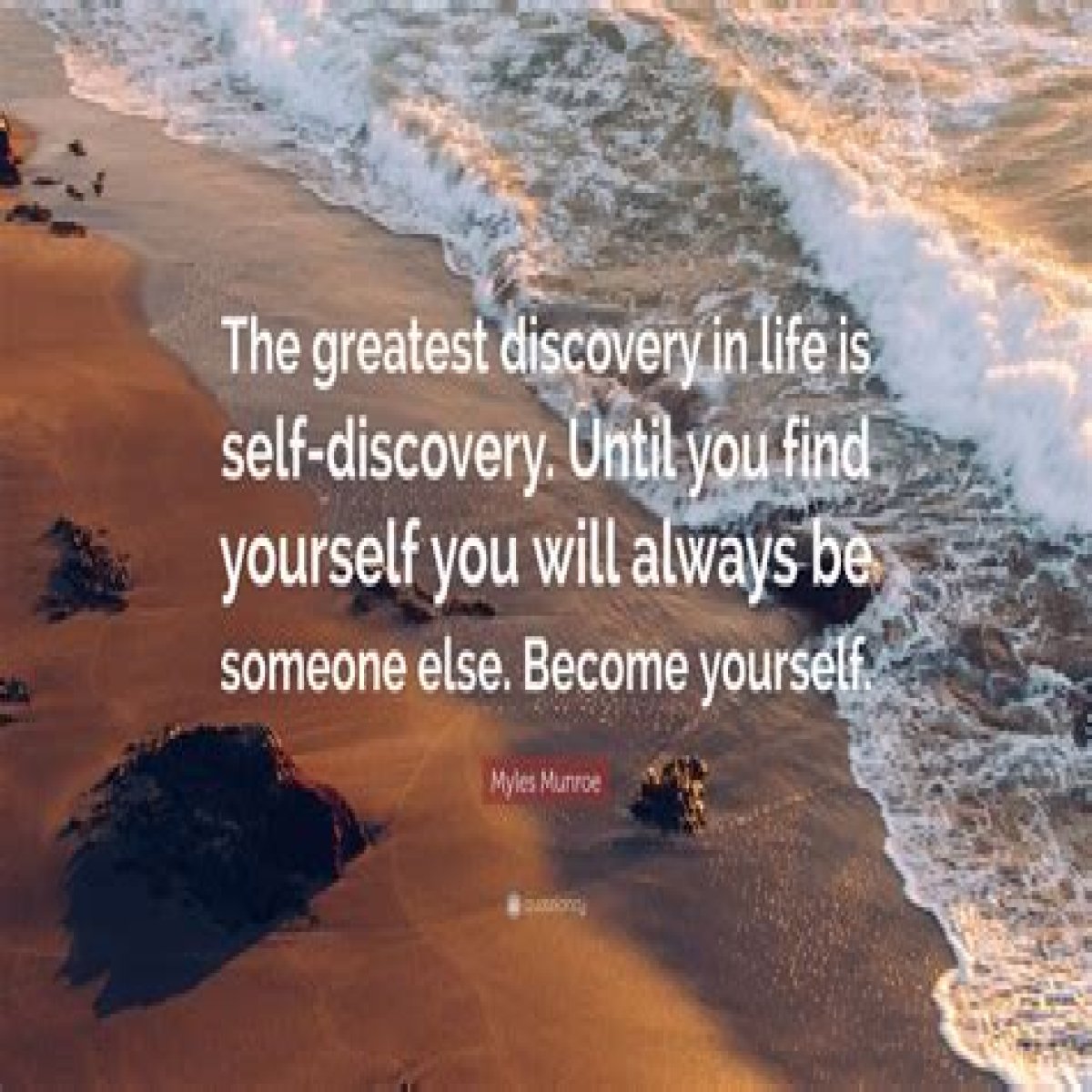 Discover Quotes That Inspire, Empower, And Intrigue