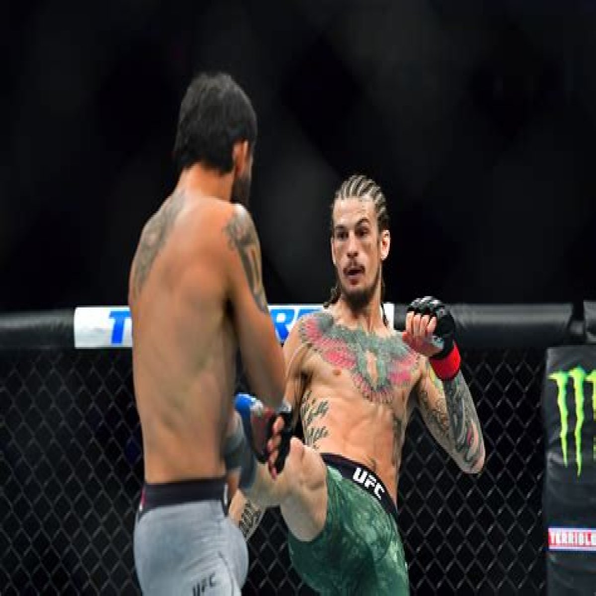 Discover Sean O'Malley's Knockout Secrets