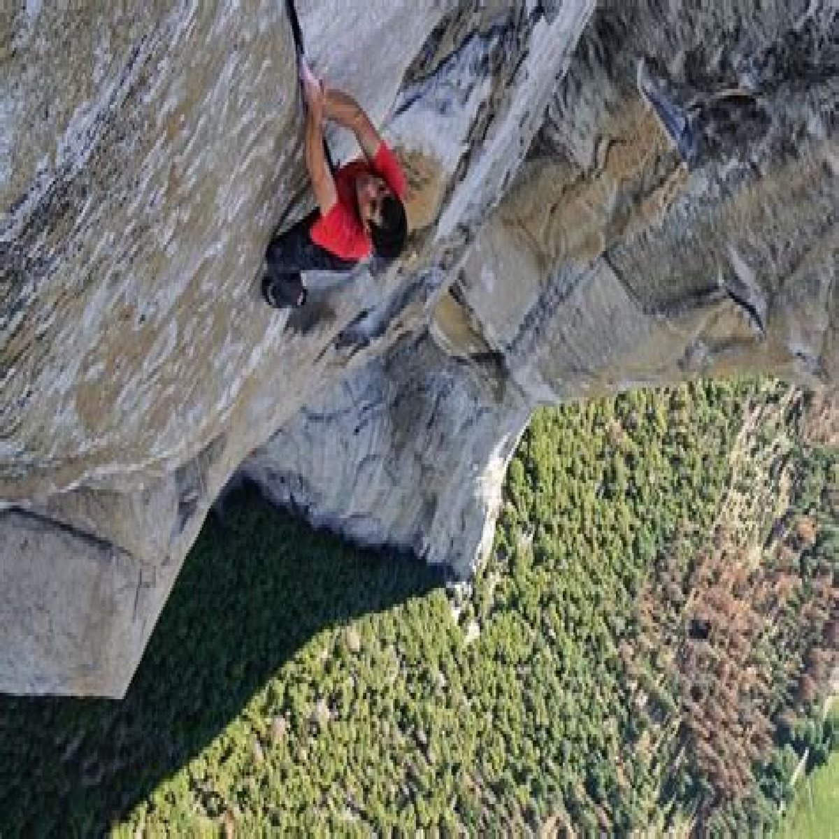 Discover The Captivating World Of El Capitan Free Solo
