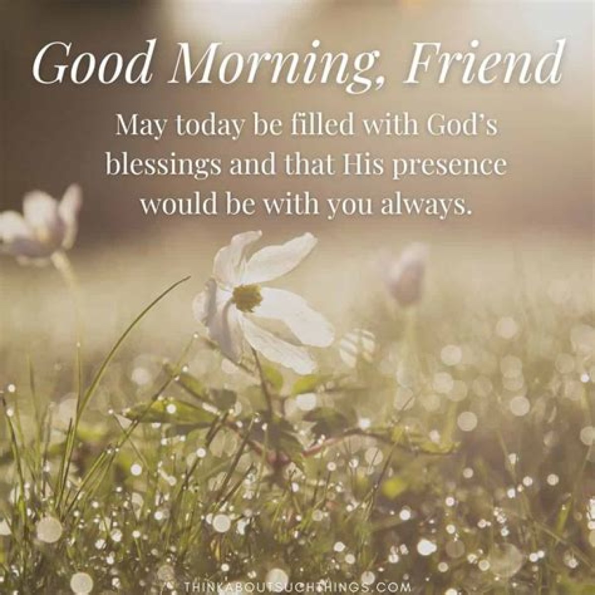 Discover The Transformative Power Of Morning Blessings For Friends