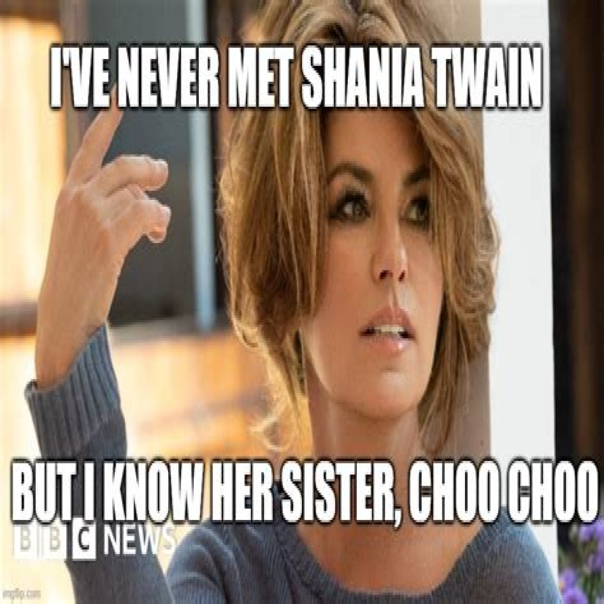 Discover The World Of Shania Twain Memes: Insights And Hidden Gems