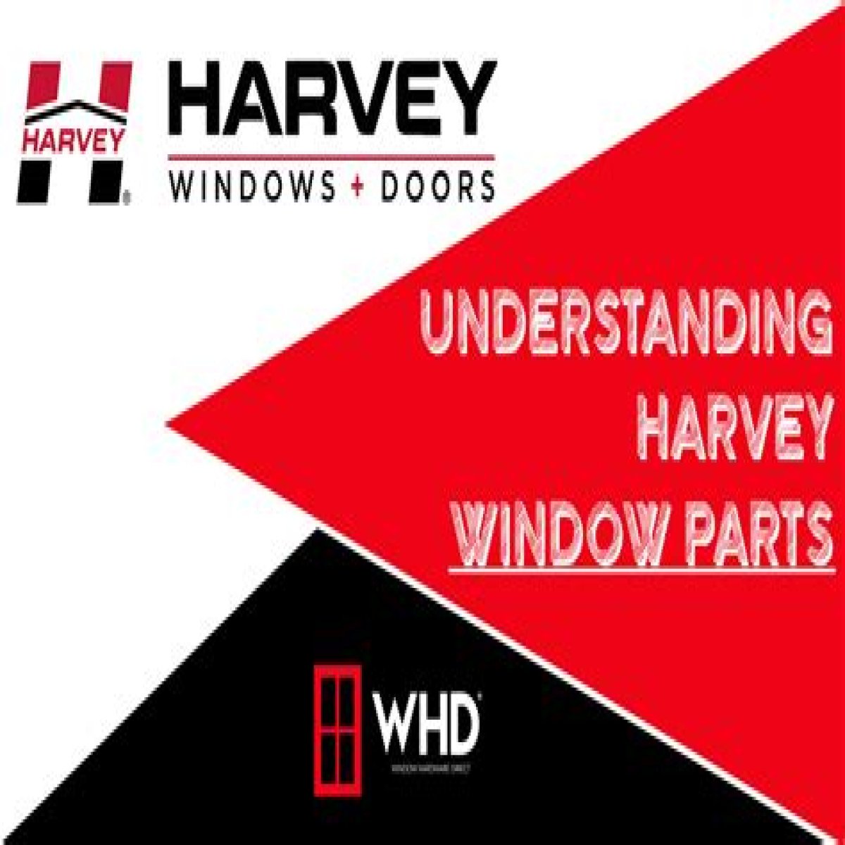 Discovering The Exceptional World Of Harvey Windows