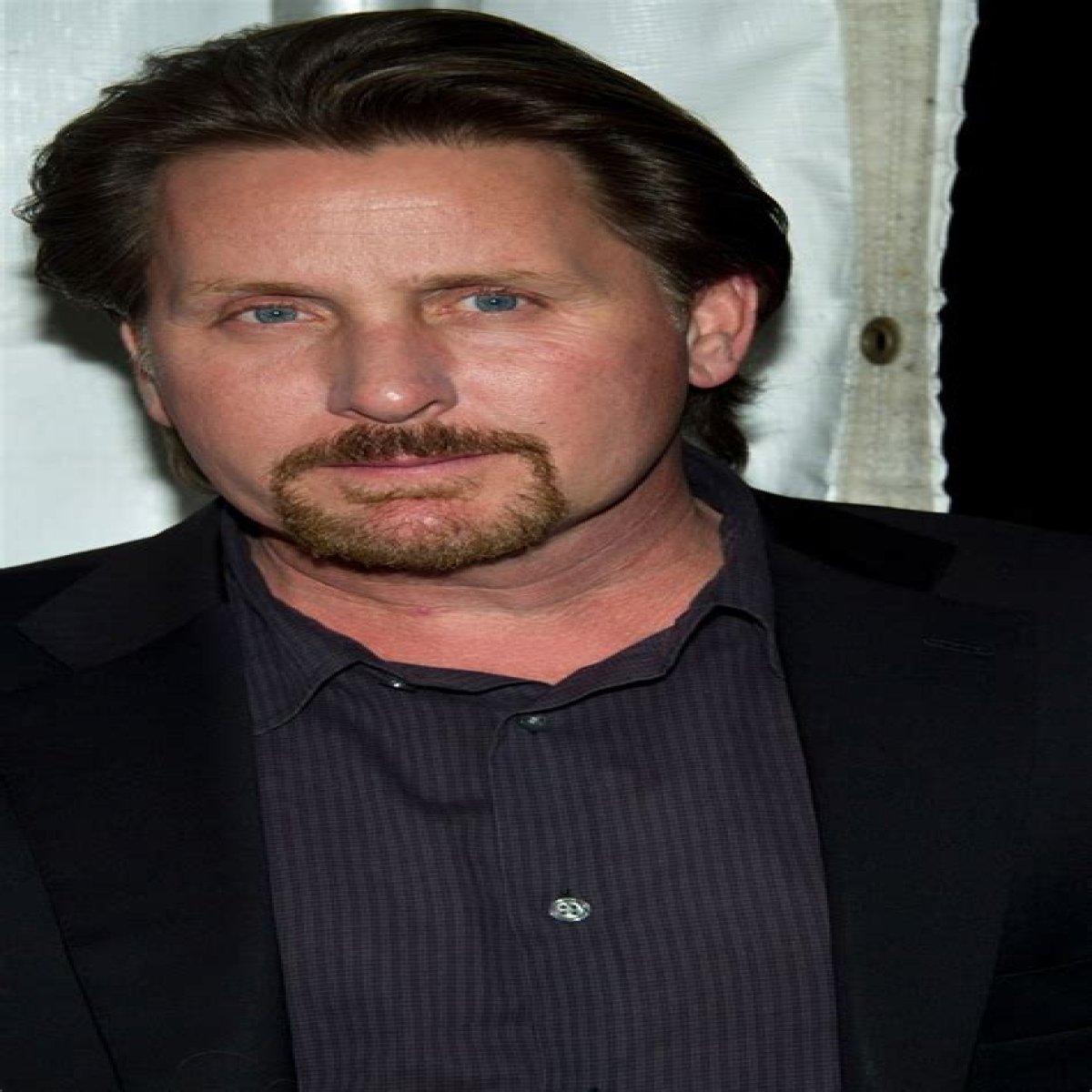 Emilio Estevez: The Multifaceted Talent Of Hollywood