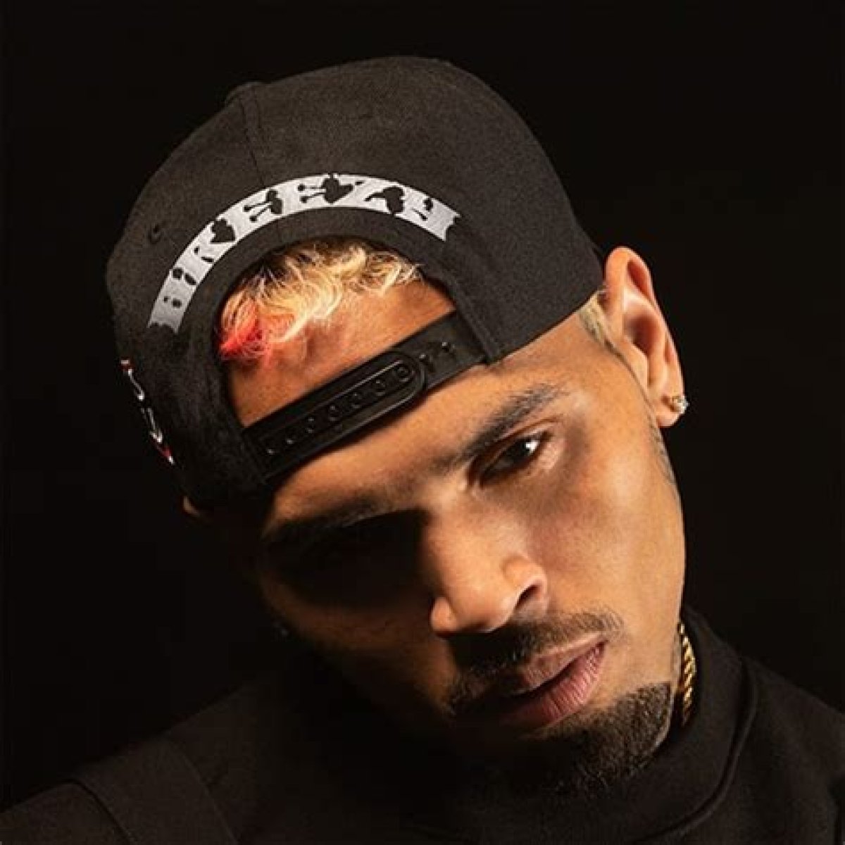 Exclusive Meet And Greet: Secure Your Chris Brown VIP Tickets Today!