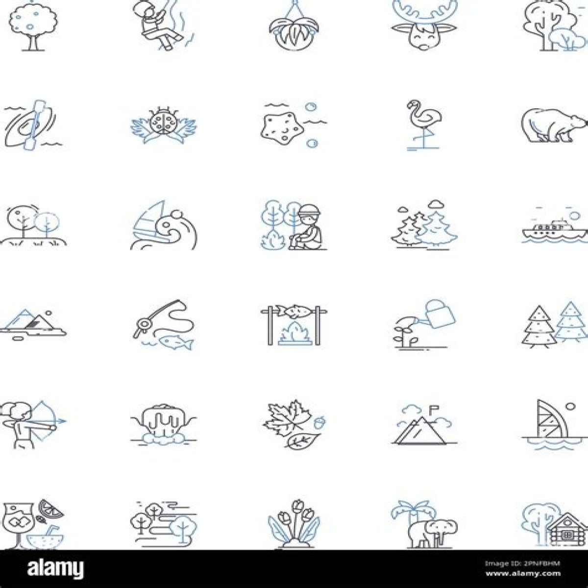 Explorations Into An Enigmatic Icon