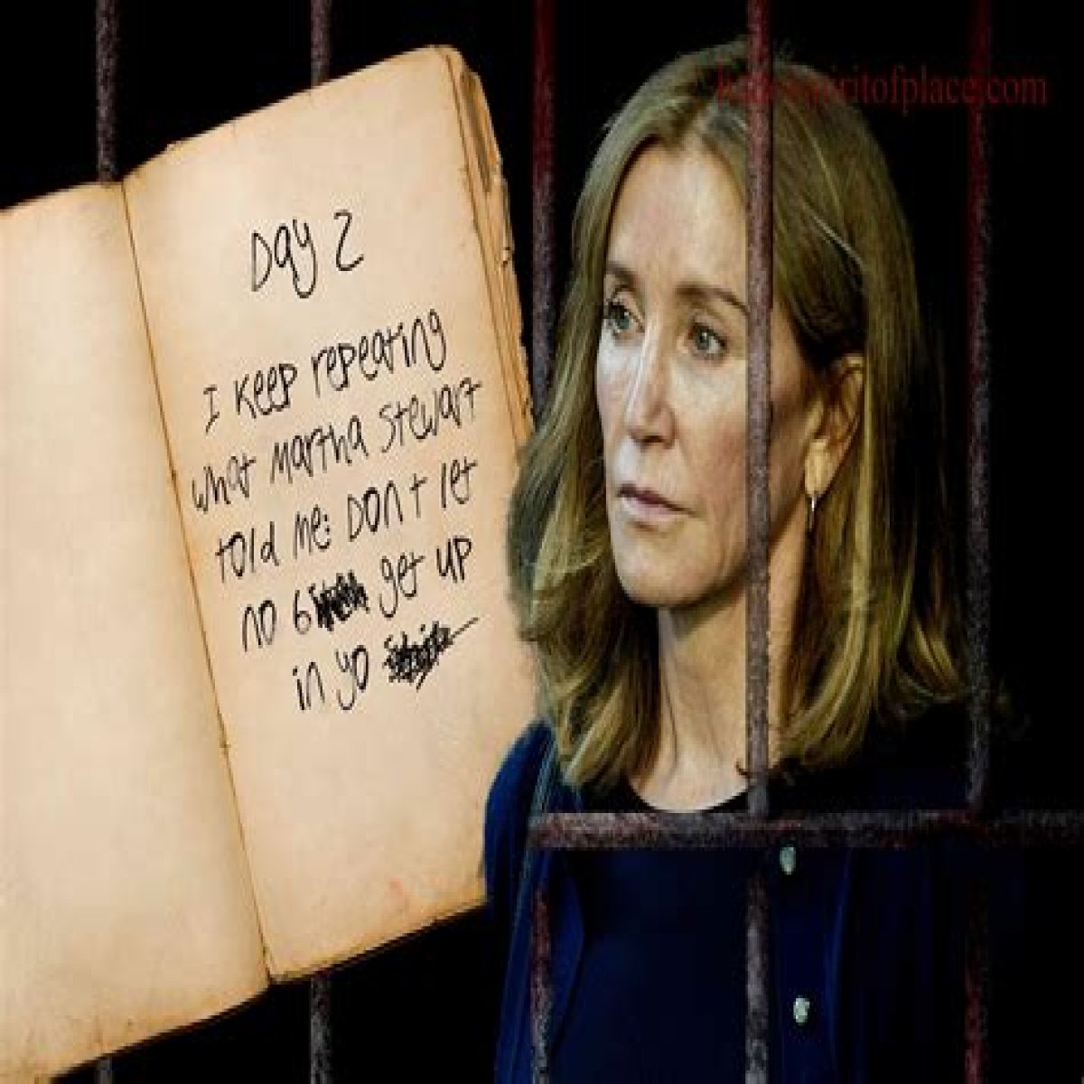 Felicity Marmaduke And The Unsolved Disappearance