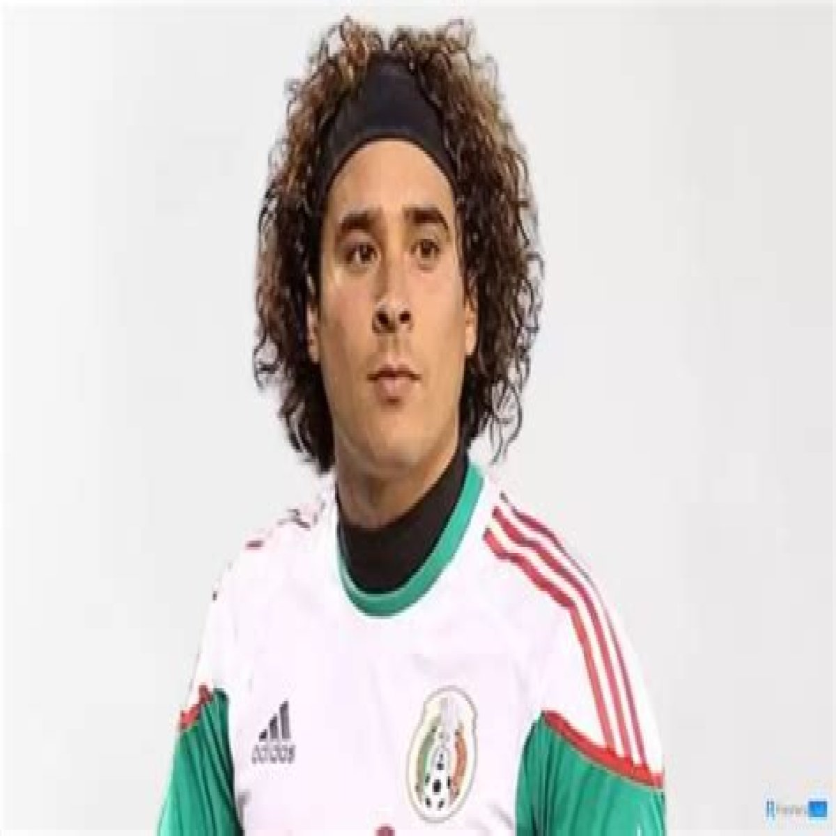 Getting To Know Ochoa Wife: A Complete Guide