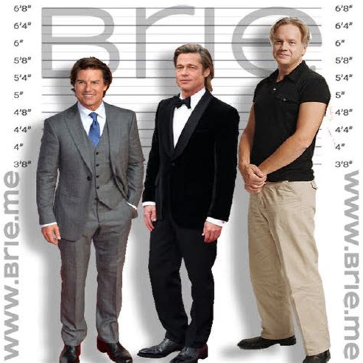 How Tall Is Tim Robbins? Uncovering The Actor's True Height