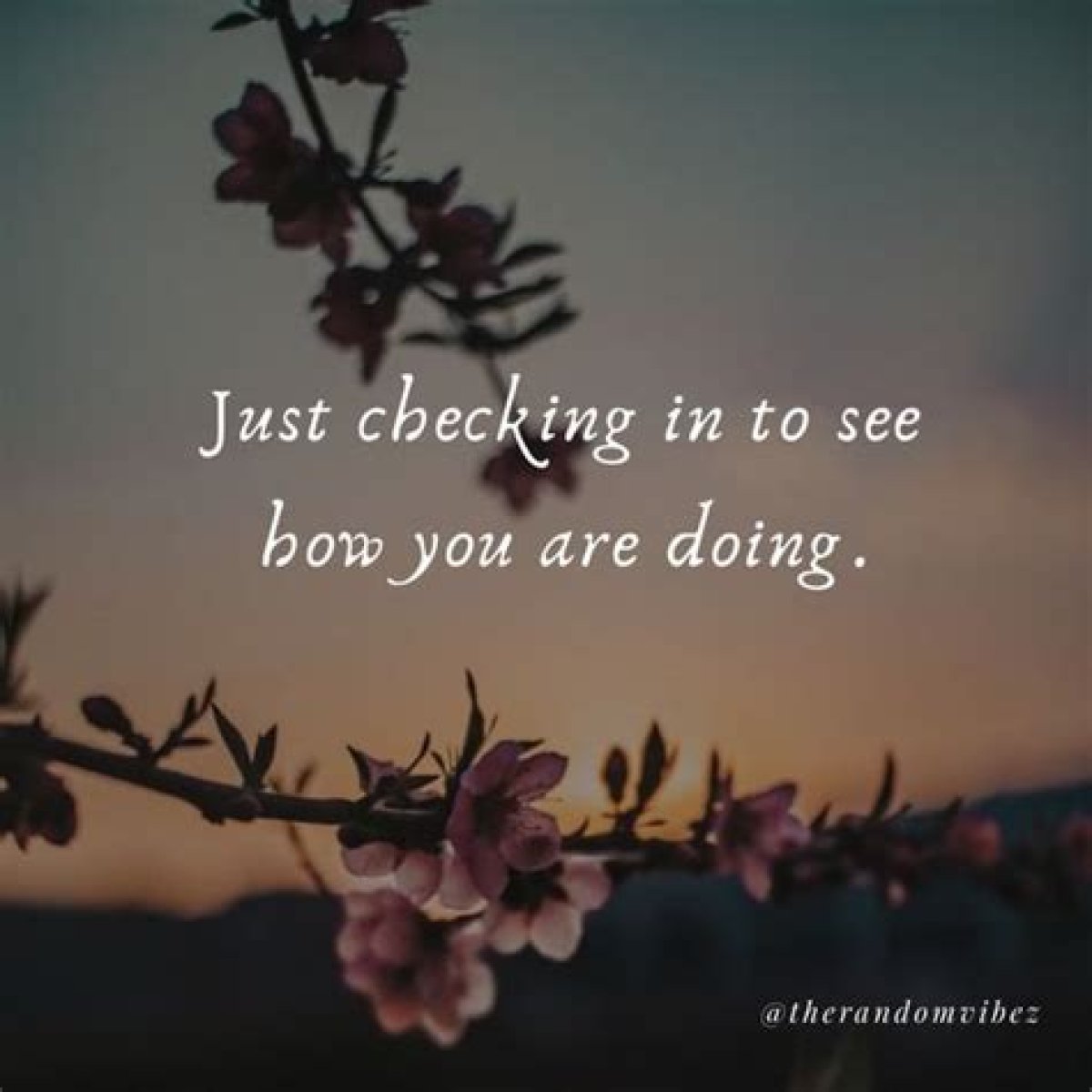 Insights And Revelations From "Just Checking On You, My Friend"