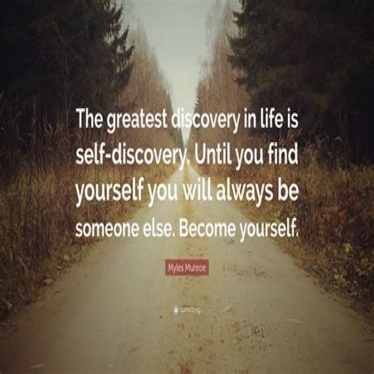 Inspirational Quotes For Discovery And Growth