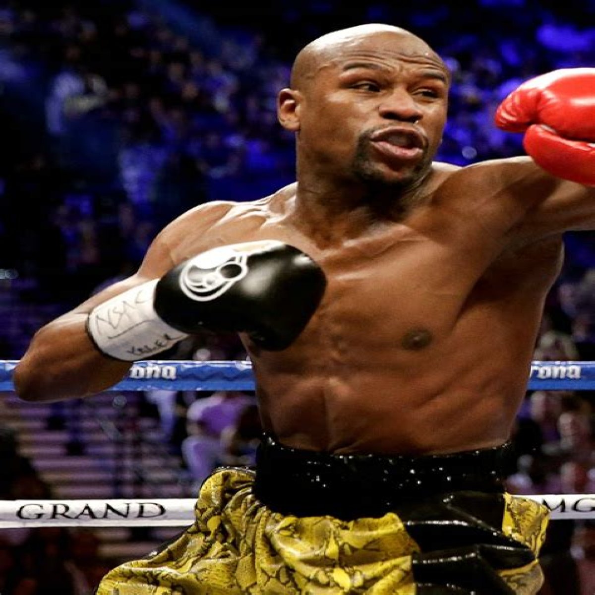 The Colossal Height Of Boxing Icon Floyd Mayweather