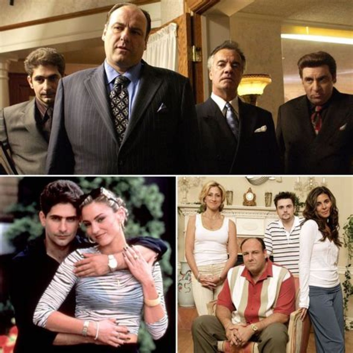 The Ultimate Guide To The Cast Of "The Sopranos"