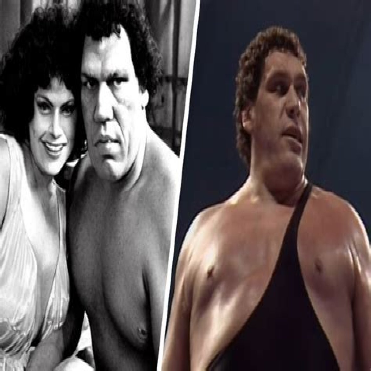 The Untold Story Of Andre The Giant's Wife, Jean Christensen