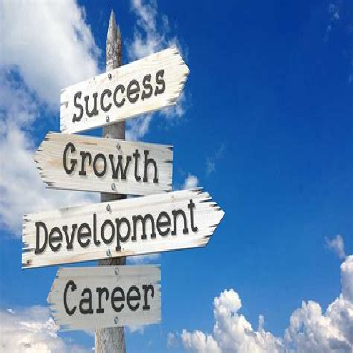 Uncover Geothermal Job Opportunities And Fuel Your Career With TGDCL