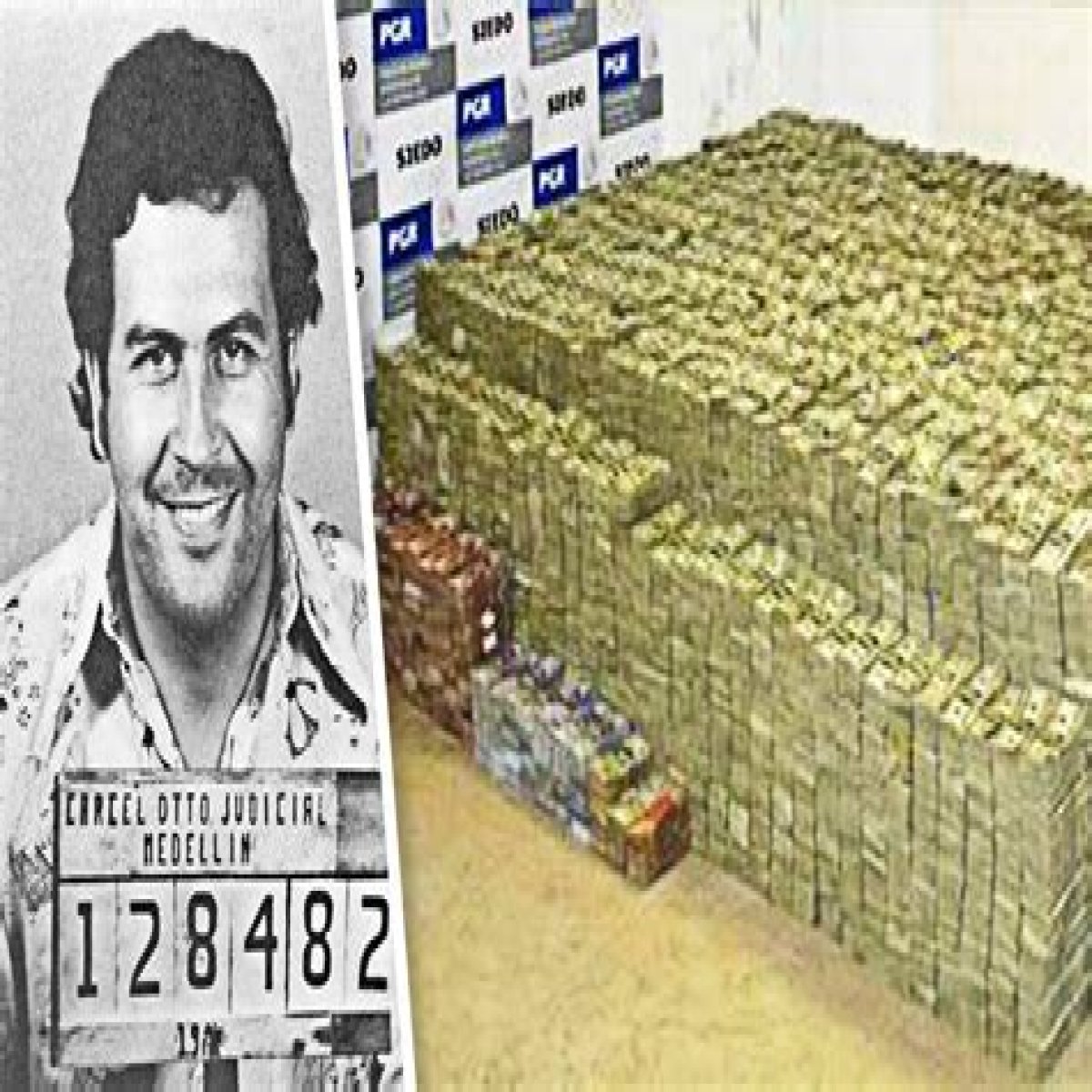 Uncovering The Hidden Riches: Pablo Escobar's Buried Treasure