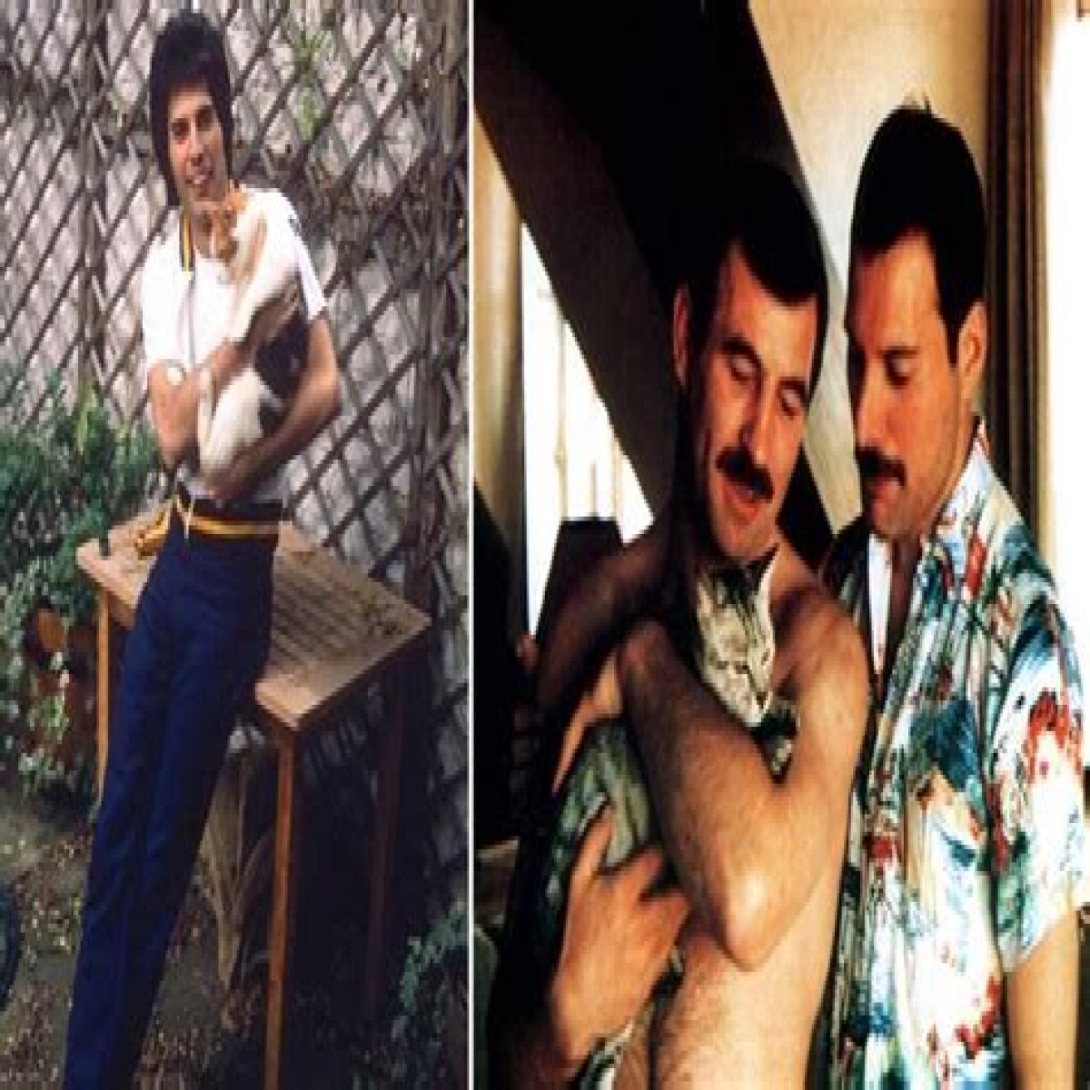 Uncovering The Truth: Did Freddie Mercury Have A Child?