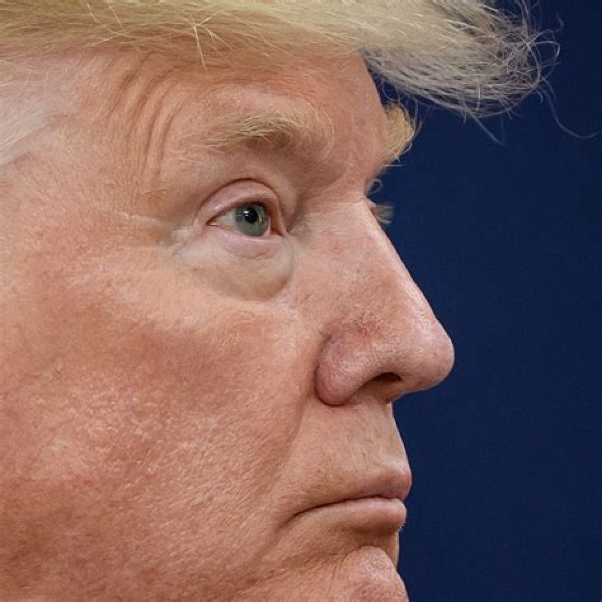 Unraveling The Mystery Of Trump's Eye Color