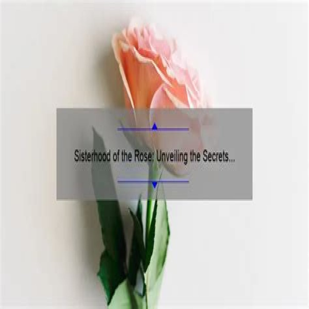 Unveiling Rose Leslie's Sisterhood: Discoveries And Insights