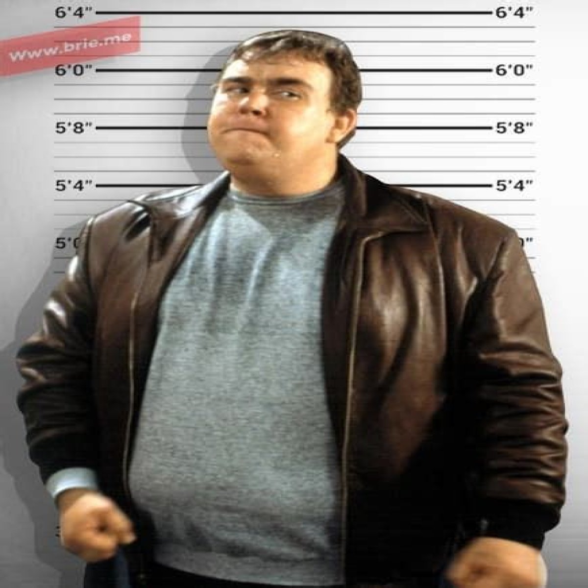 Unveiling The Dimensions Of John Candy: Height And Weight Insights