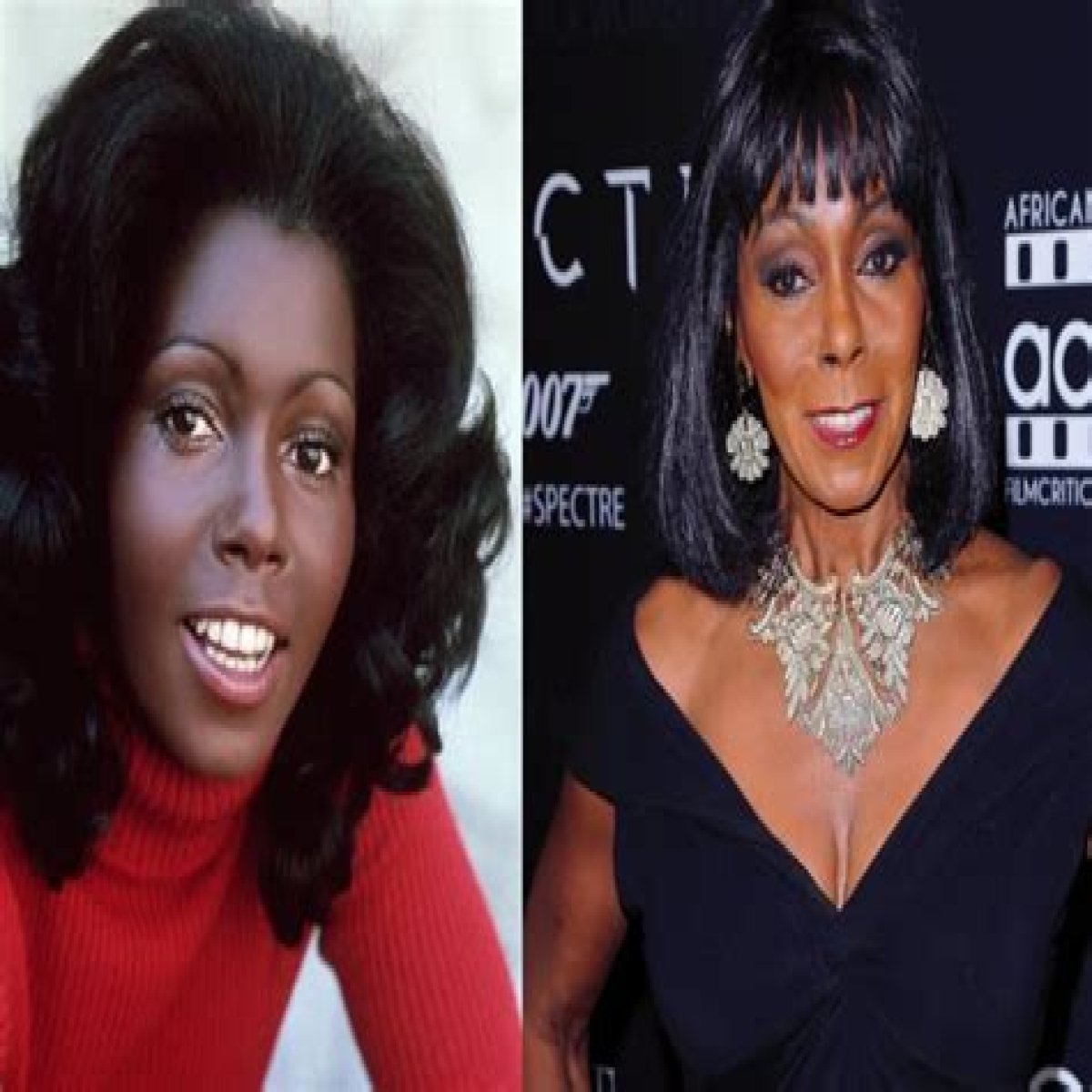 Unveiling The Life And Career Of Judy Pace