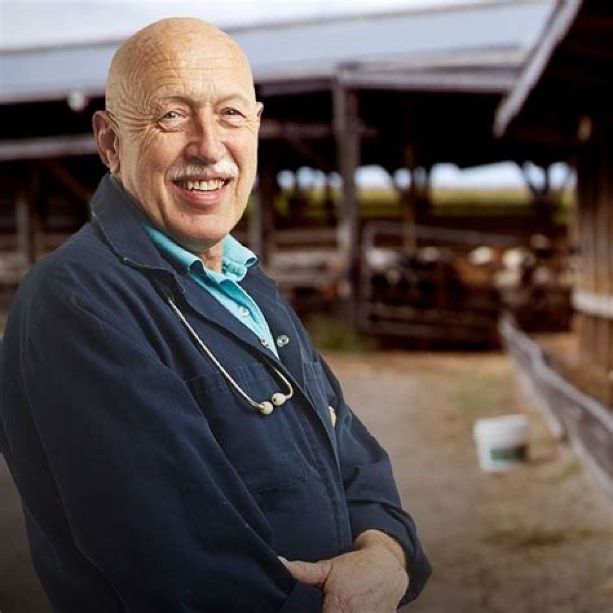 Unveiling The Life And Legacy Of Jan Pol