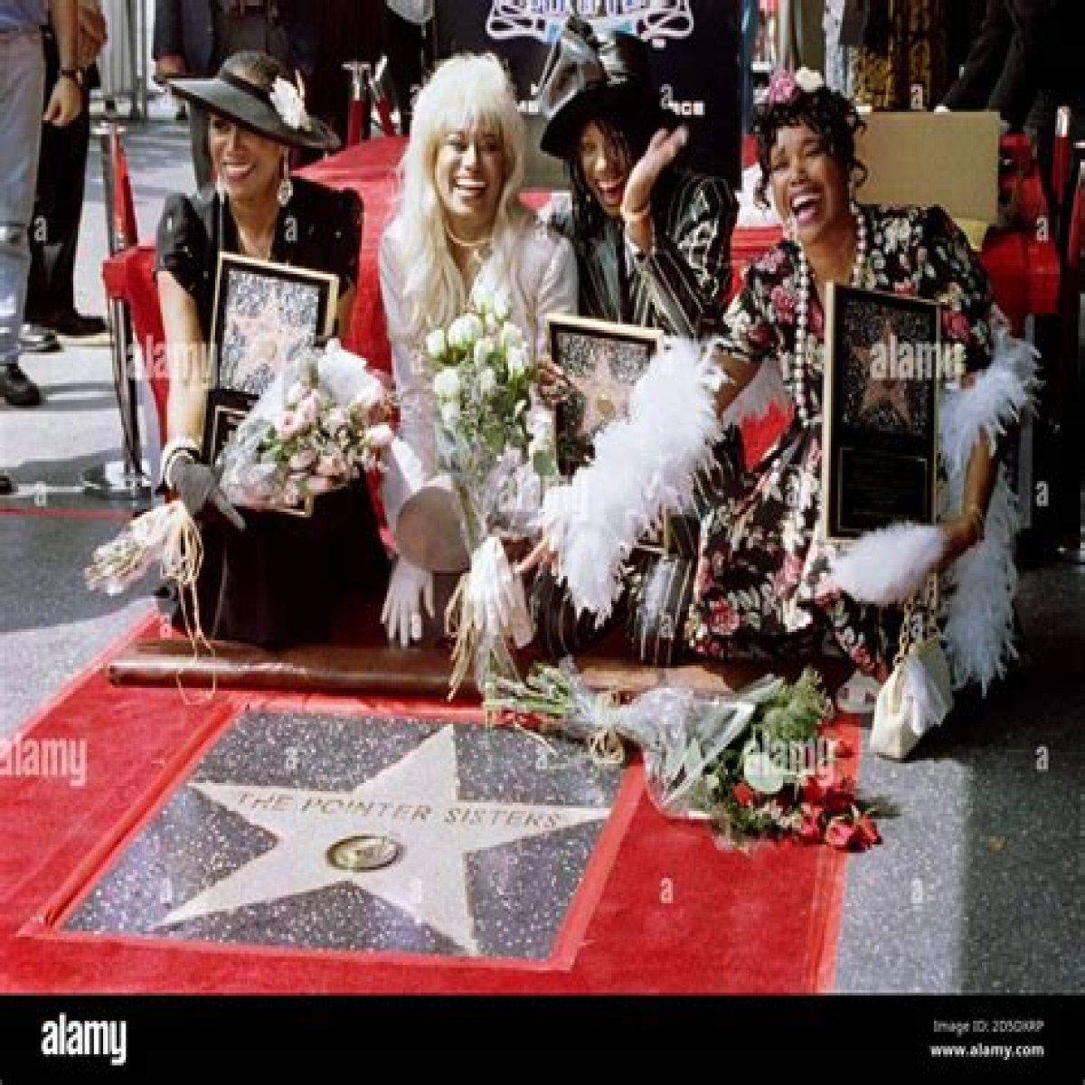 Unveiling The Sister Of Hollywood Legends