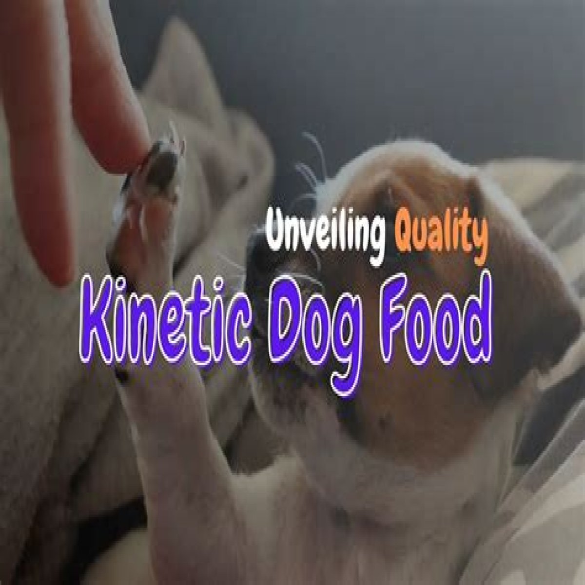 Unveiling The Truth Behind Kinetic Dog Food Recalls: Discoveries And Insights