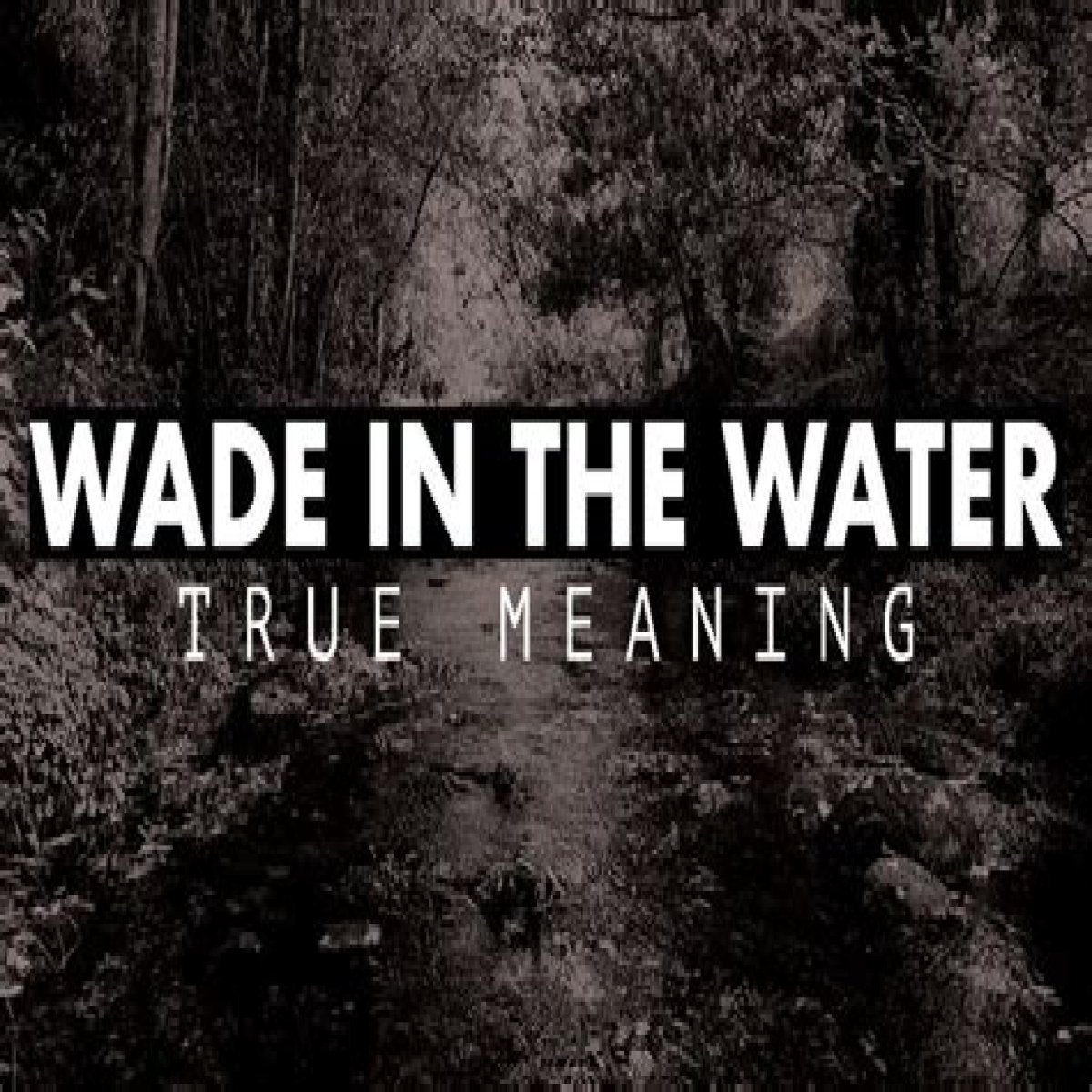 What is the meaning behind Wade in the Water? – Janet-Panic.com