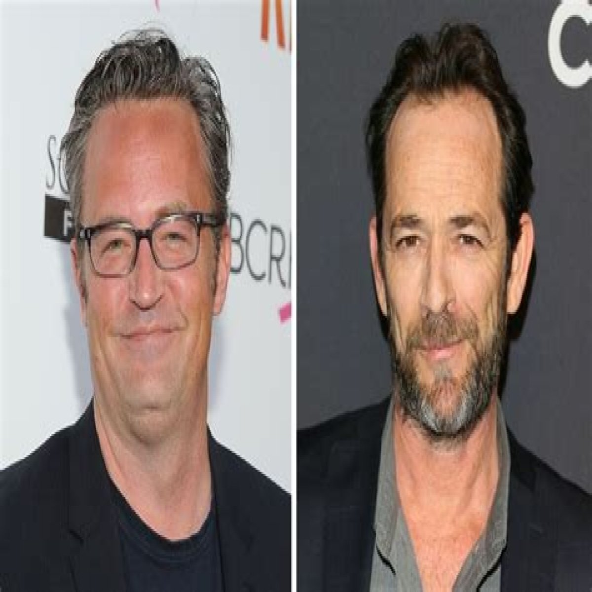 Which Celebs Are Related: Matthew Perry And Luke Perry