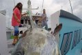 Who has the most expensive boat on Wicked Tuna?