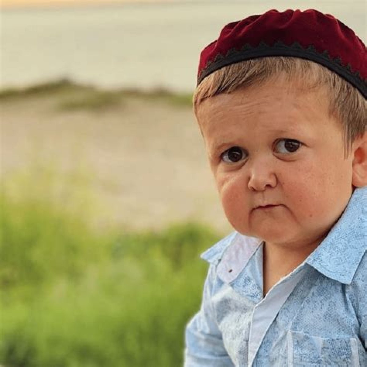 Who Is Hasbulla: The Enigmatic Internet Sensation